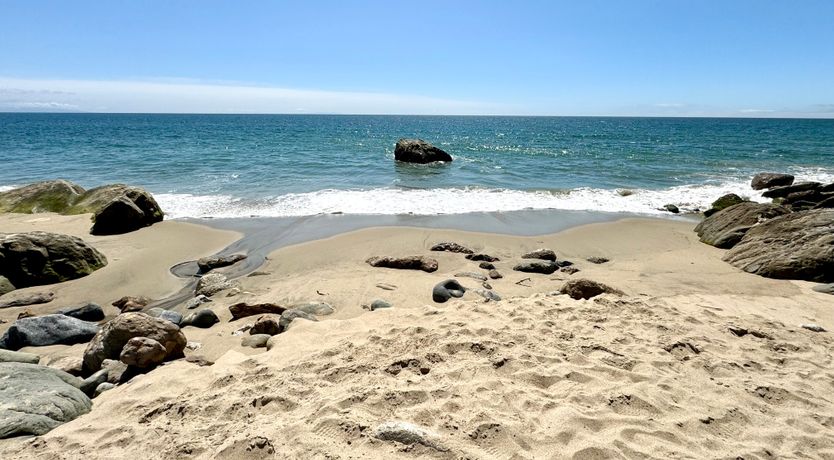 Photo of Pacific Sunbeam