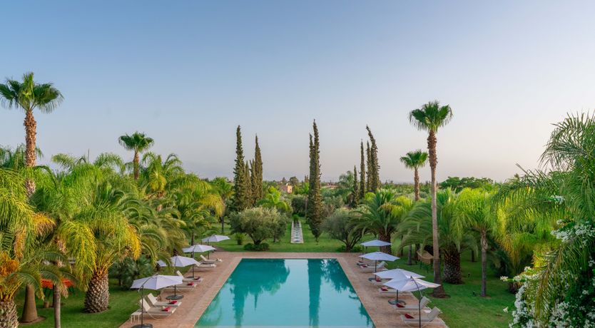 Photo of The Magic & Wonder