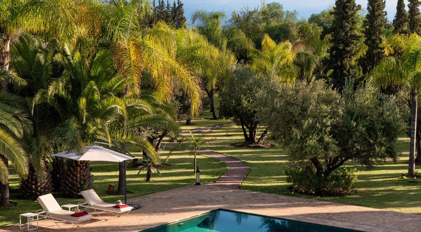 Photo of The Magic & Wonder