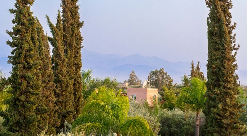 Photo of The Magic & Wonder