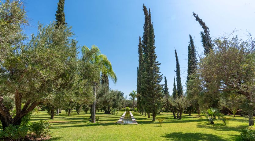 Photo of The Magic & Wonder