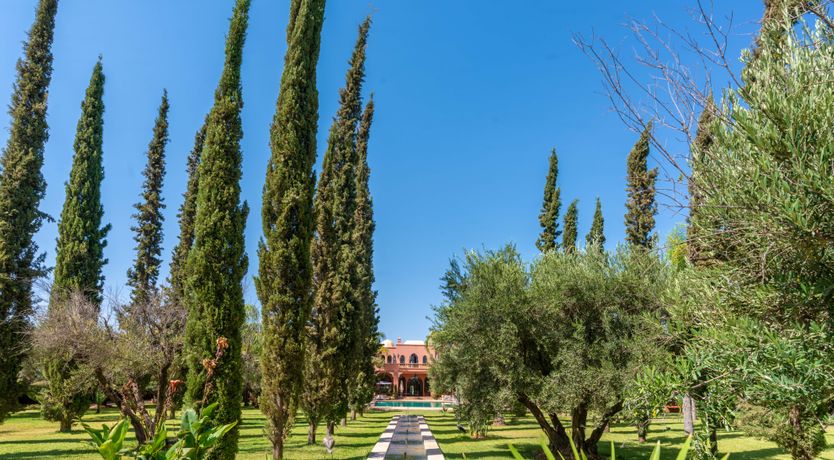 Photo of The Magic & Wonder