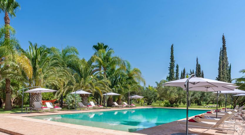 Photo of The Magic & Wonder