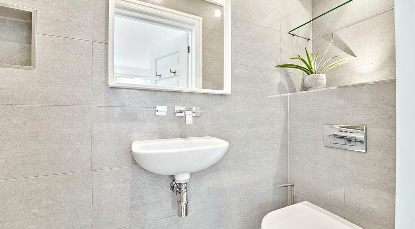 Photo of Total Splendour