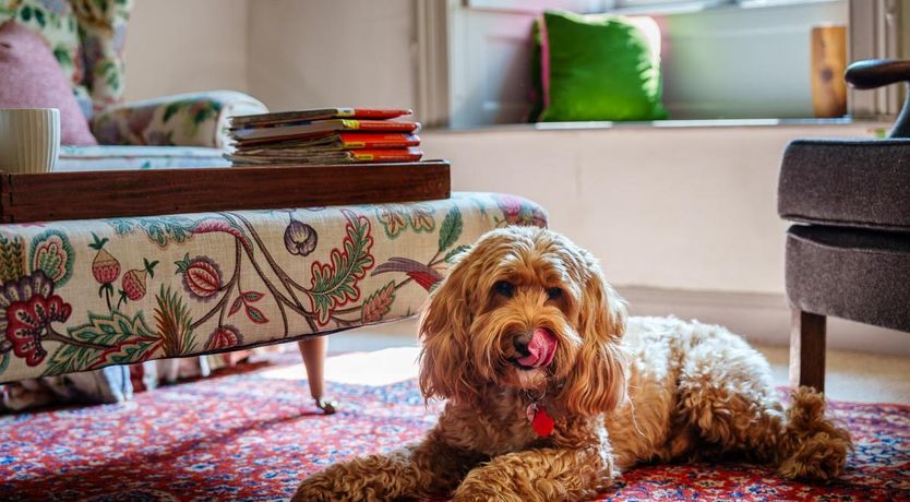 Photo of 5 Bed in Broughton Beck