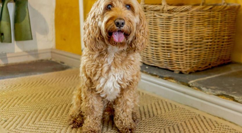 Photo of 5 Bed in Broughton Beck