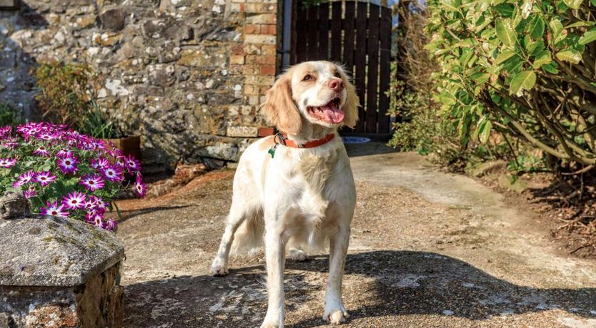 Photo of 1 Bed in Buckland Brewer