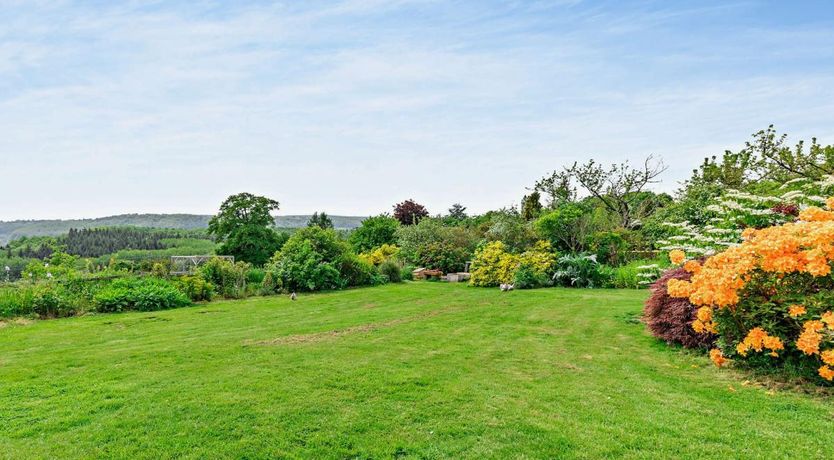 Photo of in Tenbury Wells  (91980)
