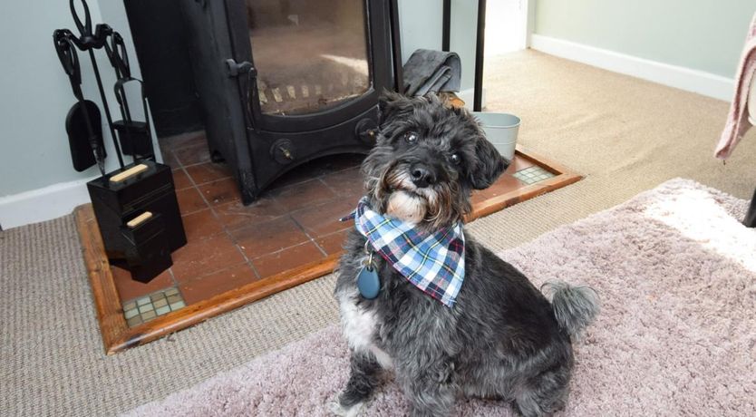 Photo of 2 Bed in Winchelsea