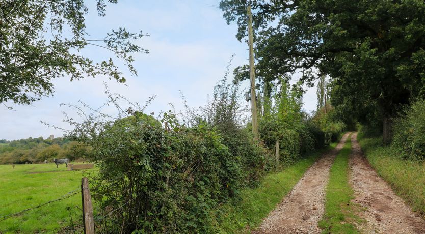 Photo of Woodpit Cottage