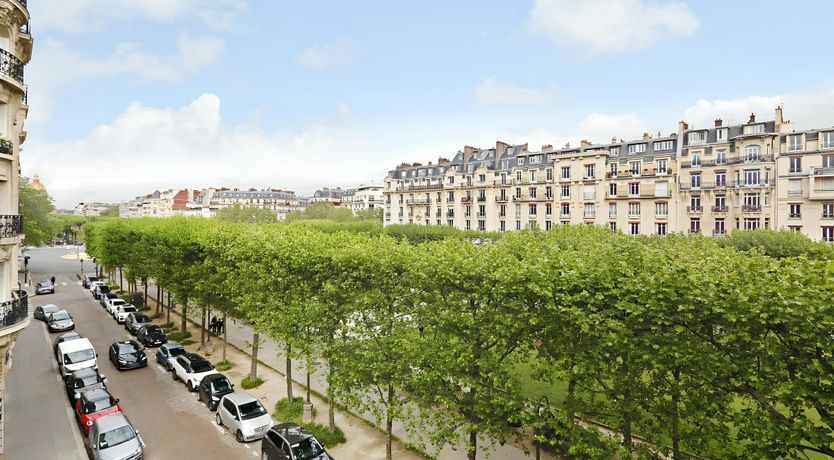 Photo of Blue Sky & Trees