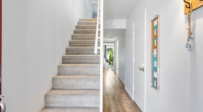 Photo of Seashells For Sale