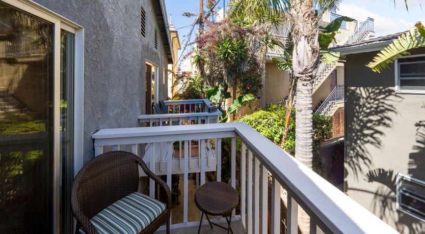 Photo of Seashells For Sale