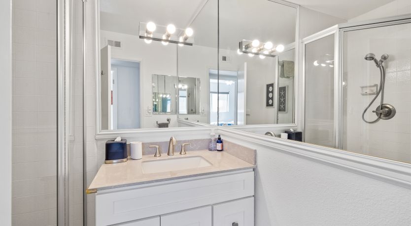 Photo of Seashells For Sale