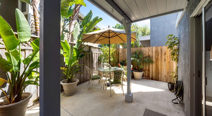 Photo of Seashells For Sale