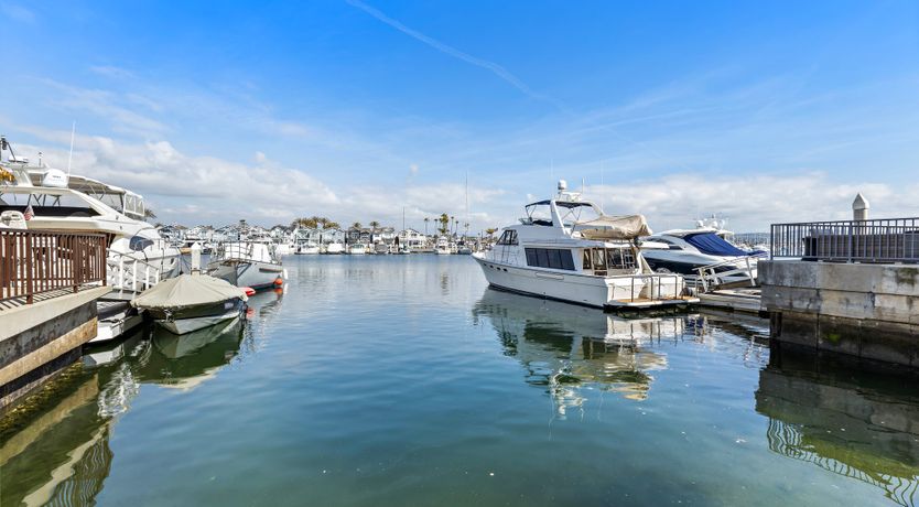 Photo of Seashells For Sale