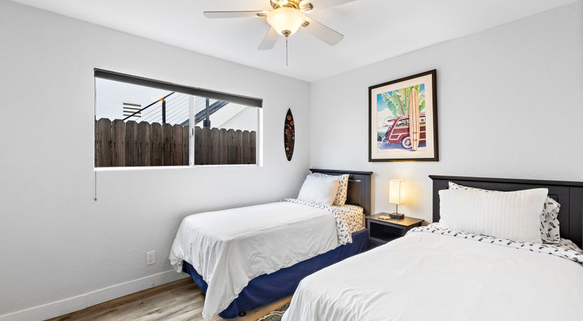 Photo of Seashells For Sale