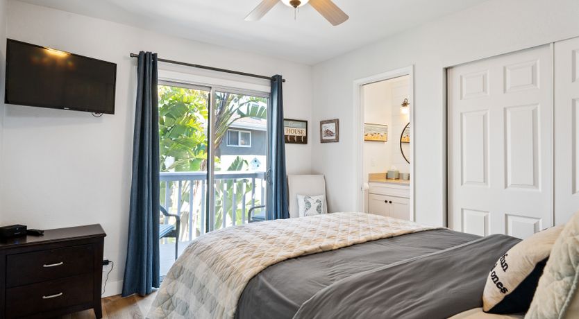 Photo of Seashells For Sale