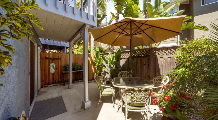 Photo of Seashells For Sale