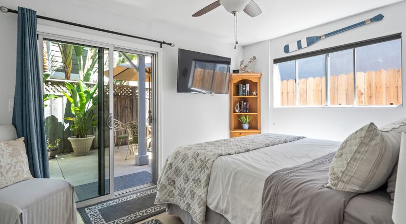 Photo of Seashells For Sale