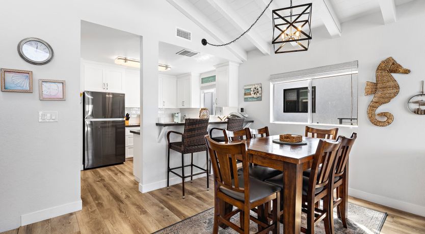 Photo of Seashells For Sale