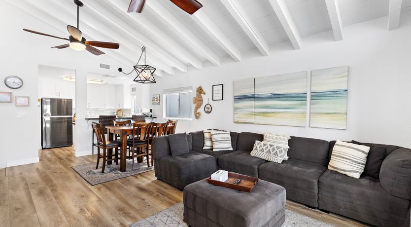 Photo of Seashells For Sale