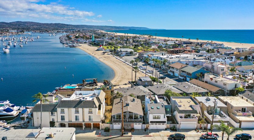 Photo of Seashells For Sale