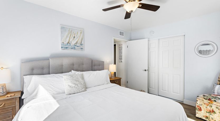 Photo of Seashells For Sale