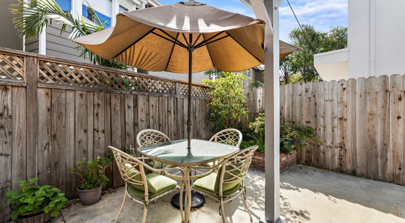 Photo of Seashells For Sale