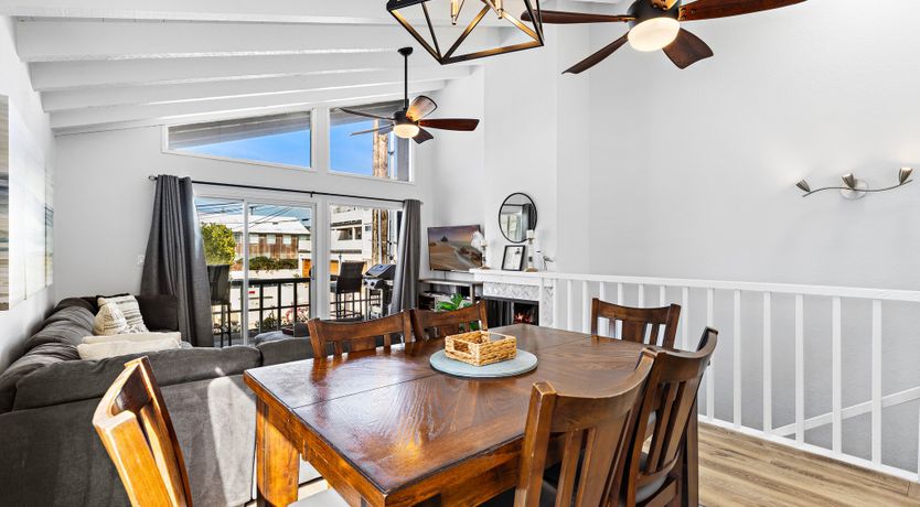 Photo of Seashells For Sale