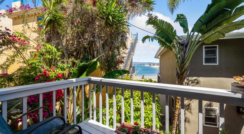 Photo of Seashells For Sale