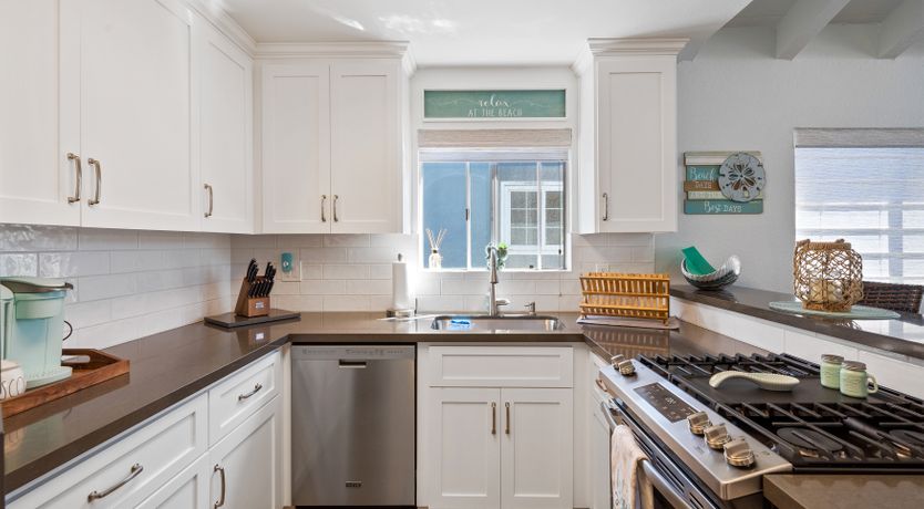 Photo of Seashells For Sale