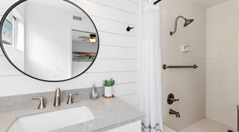 Photo of Seashells For Sale