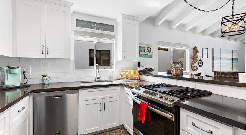 Photo of Seashells For Sale