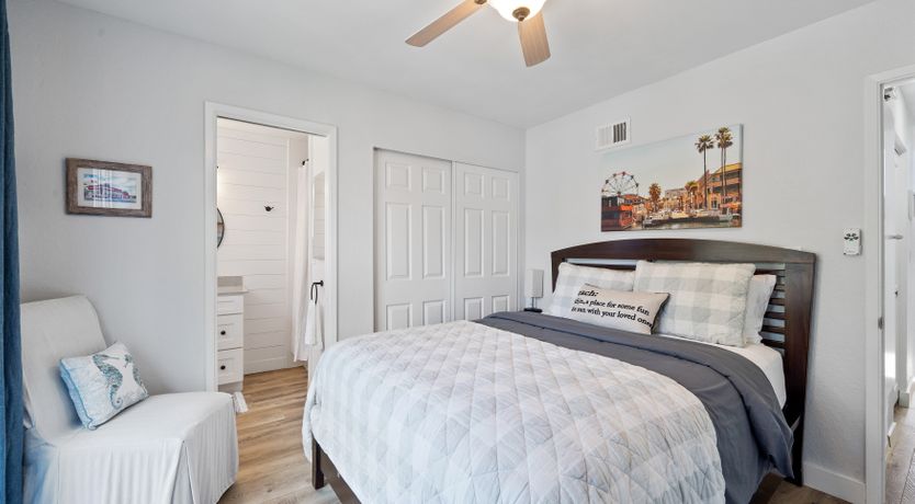 Photo of Seashells For Sale