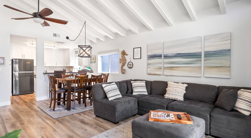 Photo of Seashells For Sale