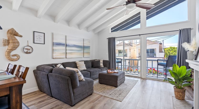 Photo of Seashells For Sale