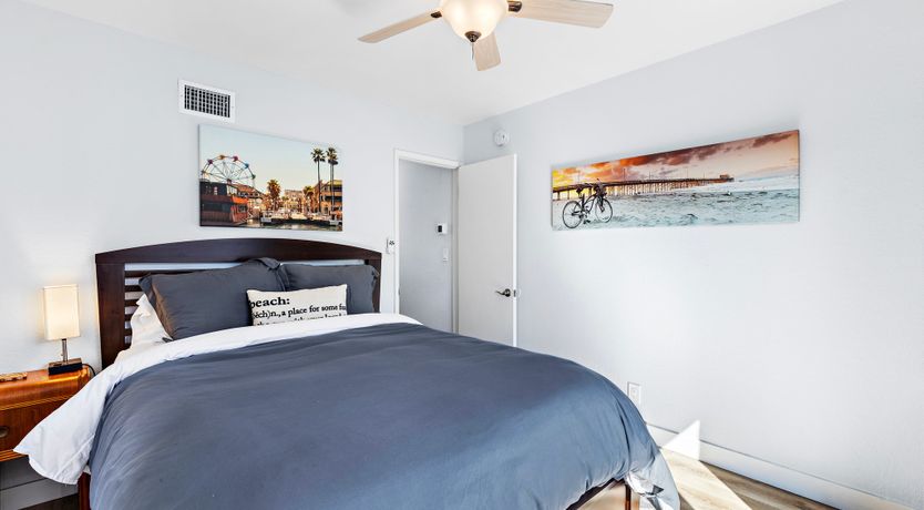 Photo of Seashells For Sale