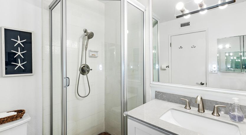 Photo of Seashells For Sale