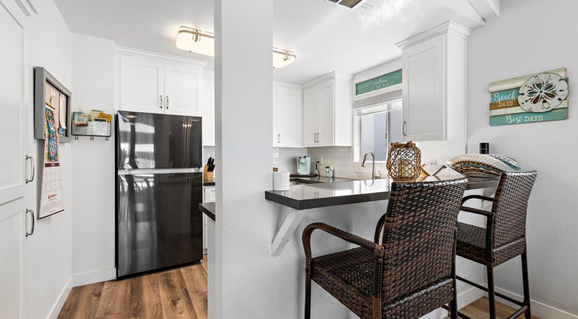 Photo of Seashells For Sale