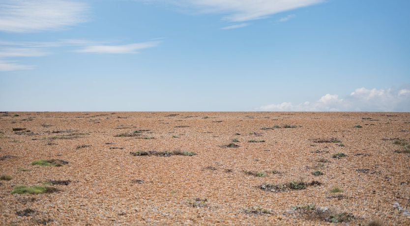 Photo of The Dungeness Carriage