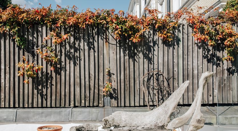 Photo of London Gossip