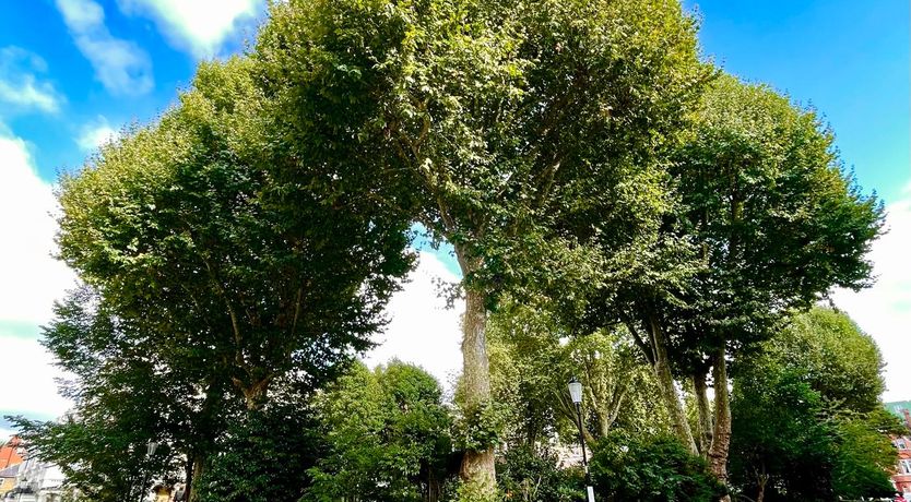 Photo of Fit for an Earl