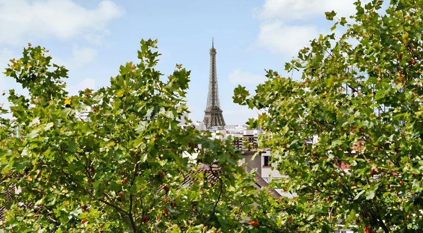 Photo of Gold & Blush