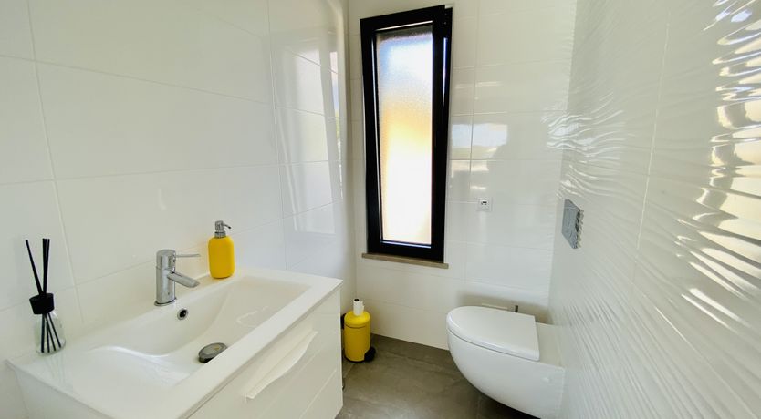 Photo of Custard Yellow