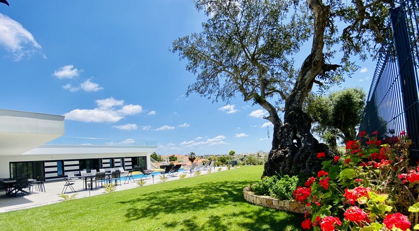 Photo of Custard Yellow