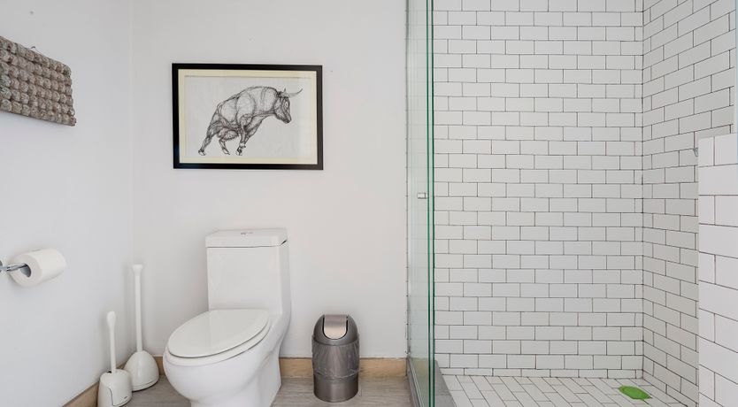 Photo of The Light of Gold