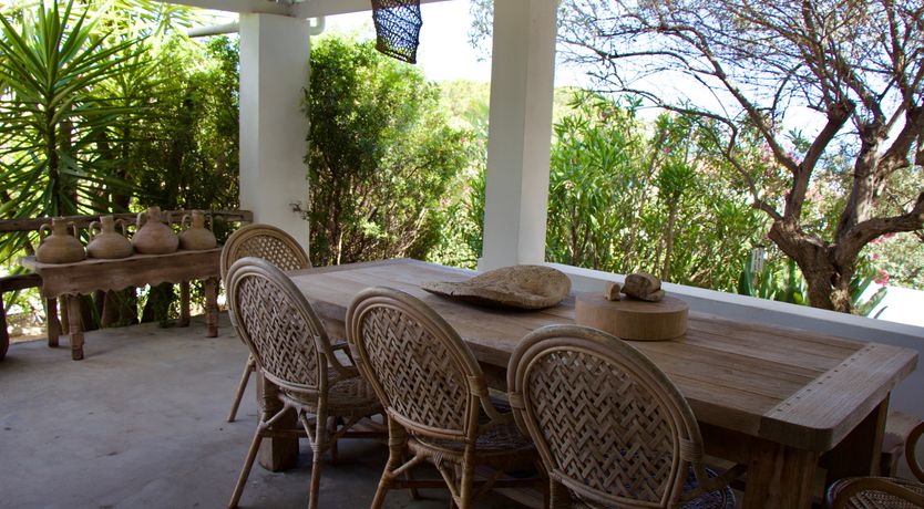 Photo of The Octopus