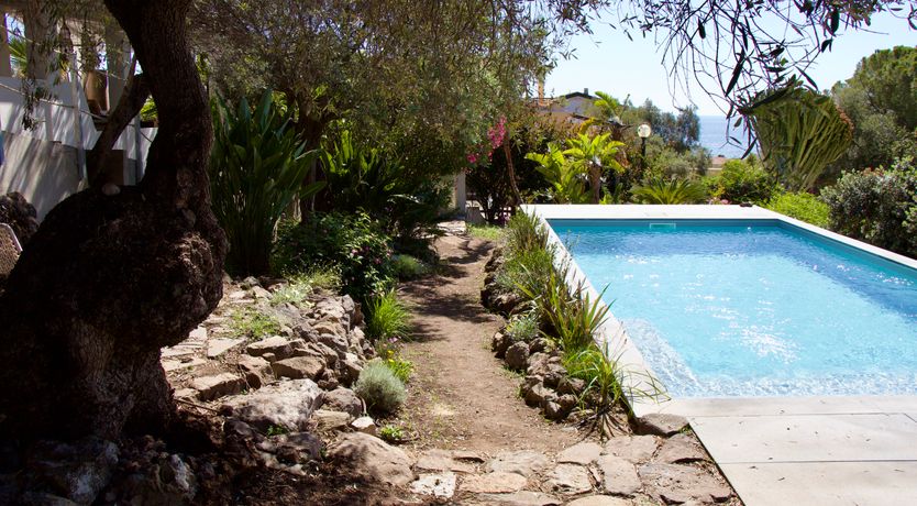 Photo of The Octopus