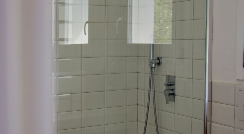 Photo of The Octopus